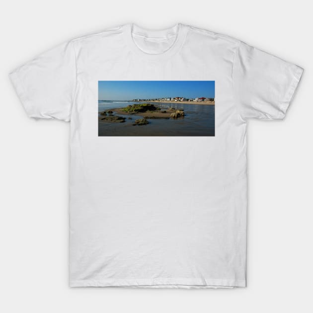 Hampton Rock T-Shirt by RichardGibb